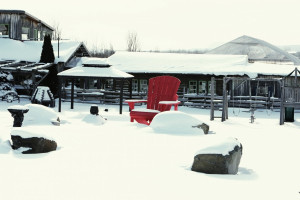 winterbarbecue organiseren