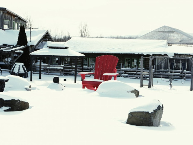 winterbarbecue organiseren